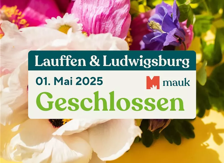 Stauden-kaufen-Pflanzen_Mauk-Gartencenter-5.jpg oeffnungszeiten-1-mai.jpg