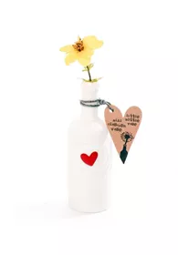 Pflanzen Mauk Gartencenter GmbH