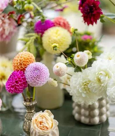 mauk-blumen-kaufen-strauß-floristik-6.jpg