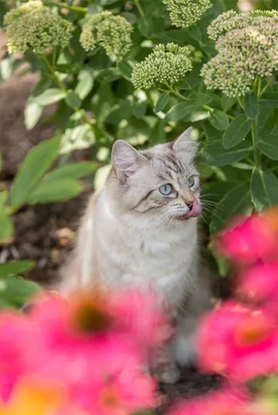 Tierbedarf_Zoo_Tierfutter_kaufen_Pflanzen_Mauk_2.jpg