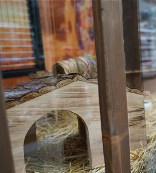 zoo-tierbedarf-nagetiere-heilbronn-mauk.jpg