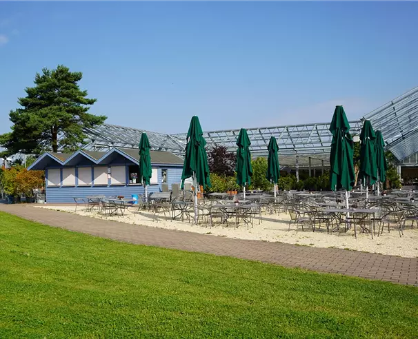 erlebnispark-ausflugsziel-bei-heilbronn-seegrill.jpg