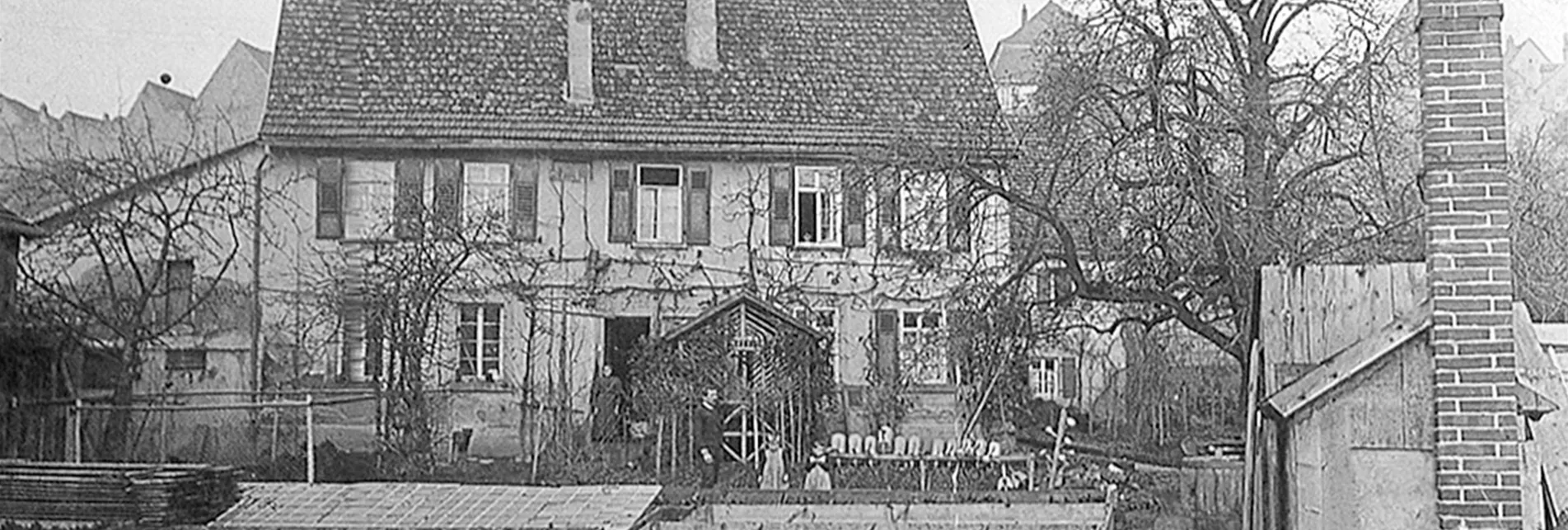pflanzen_mauk_historie_1855_3.jpg