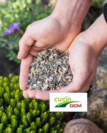 Cuxin Rasen-Beratertag