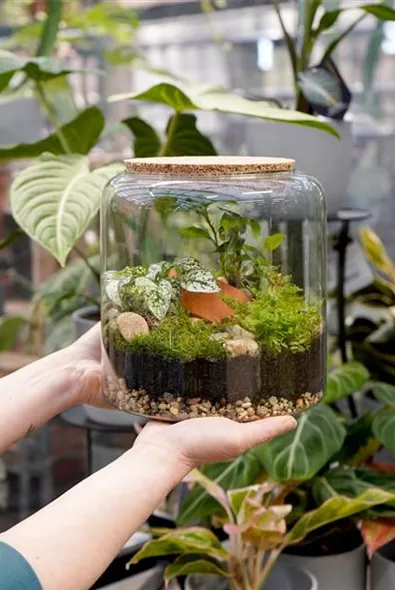 Terrarium bepflanzen Workshop