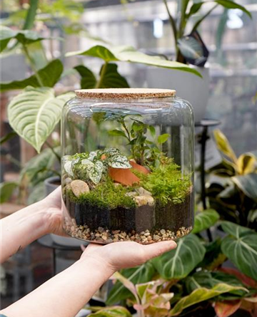 Workshop: Terrarium bepflanzen