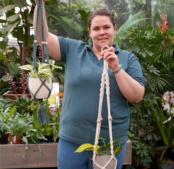 Pflanzen Mauk Gartencenter GmbH