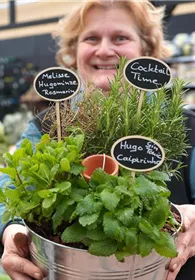 Pflanzen Mauk Gartencenter GmbH