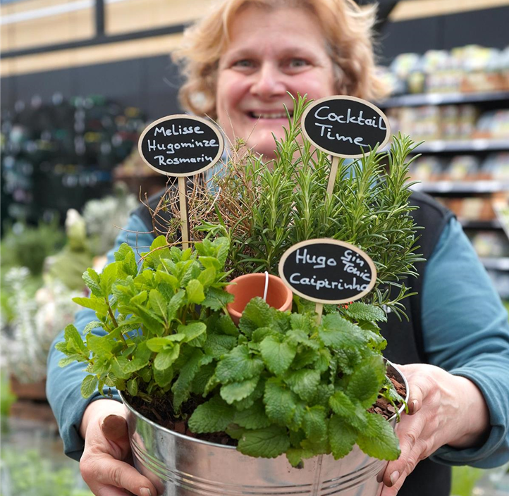 Pflanzen Mauk Gartencenter GmbH