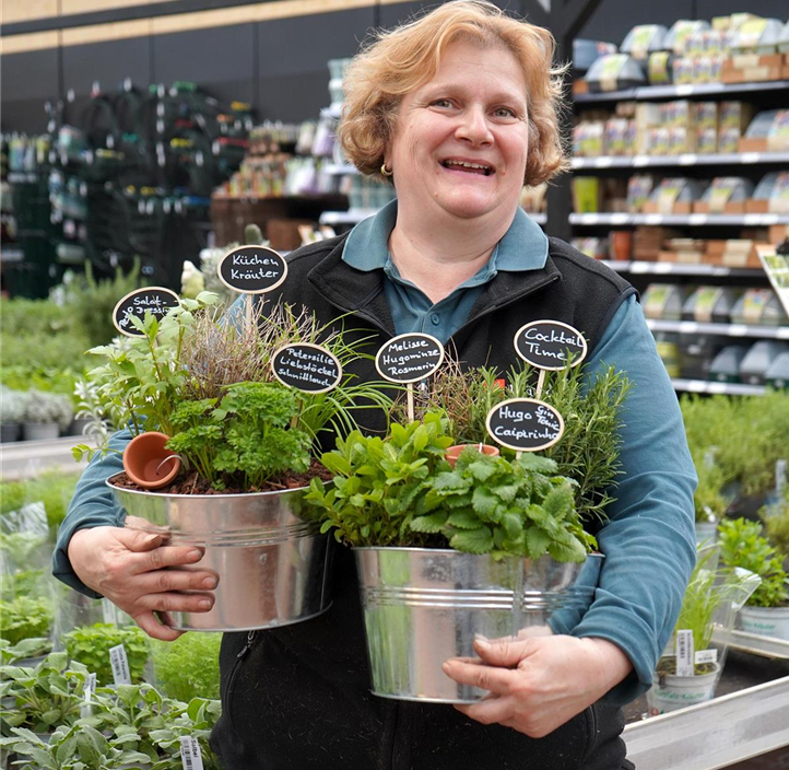 Pflanzen Mauk Gartencenter GmbH