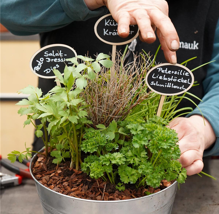Pflanzen Mauk Gartencenter GmbH