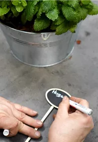 Pflanzen Mauk Gartencenter GmbH
