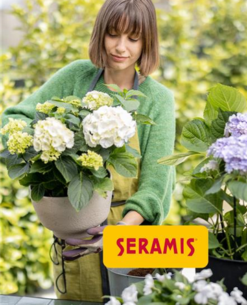 Umtopf-Aktion mit Seramis in Ludwigsburg Umtopf-Aktion mit Seramis in Ludwigsburg
