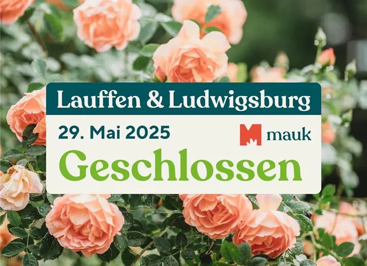 Stauden-kaufen-Pflanzen_Mauk-Gartencenter-5.jpg sonderoeffnungszeiten-christi-himmelfahrt.jpg