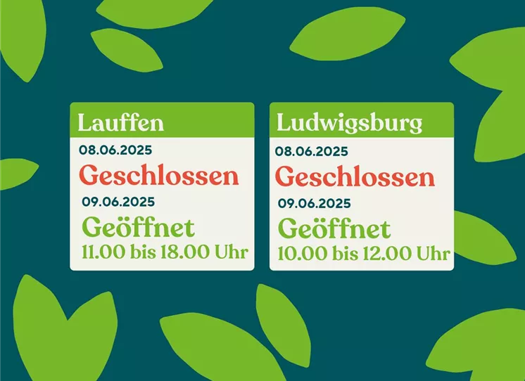 Stauden-kaufen-Pflanzen_Mauk-Gartencenter-5.jpg sonderoeffnungszeiten-pfingsten.jpg