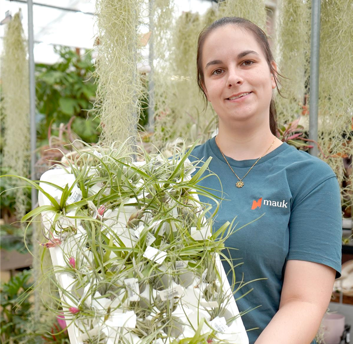 Pflanzen Mauk Gartencenter GmbH