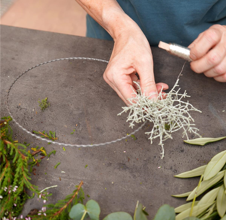 Pflanzen Mauk Gartencenter GmbH