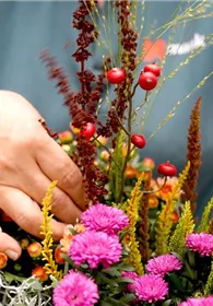 Pflanzen Mauk Gartencenter GmbH