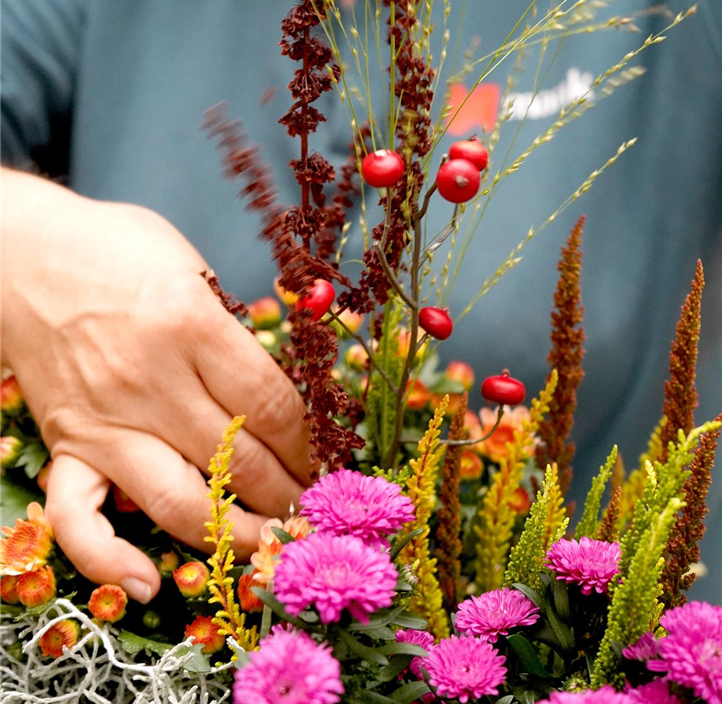 Pflanzen Mauk Gartencenter GmbH