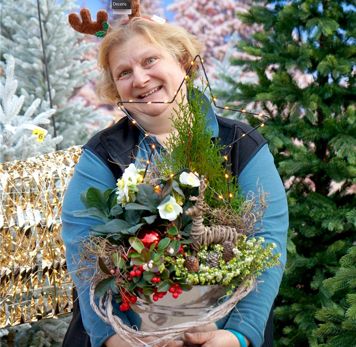 Pflanzen Mauk Gartencenter GmbH
