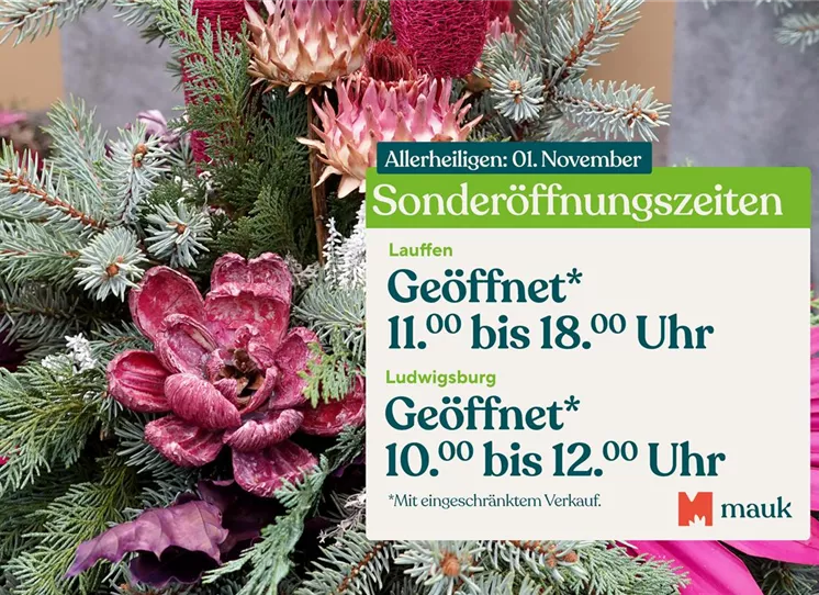 Stauden-kaufen-Pflanzen_Mauk-Gartencenter-5.jpg allerheiligen.jpg