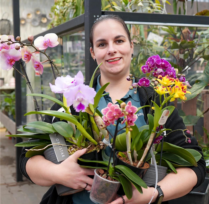 Pflanzen Mauk Gartencenter GmbH