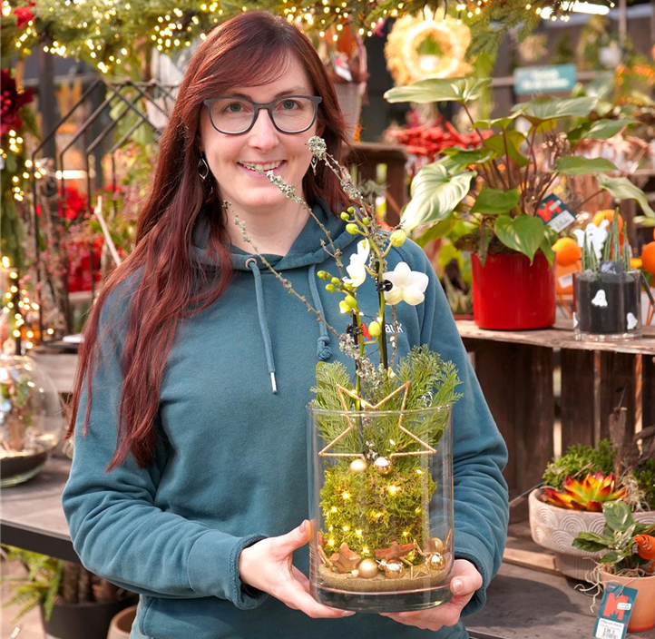 Pflanzen Mauk Gartencenter GmbH