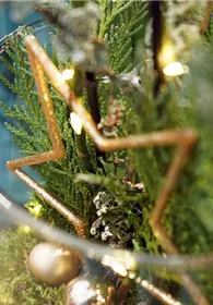 Pflanzen Mauk Gartencenter GmbH