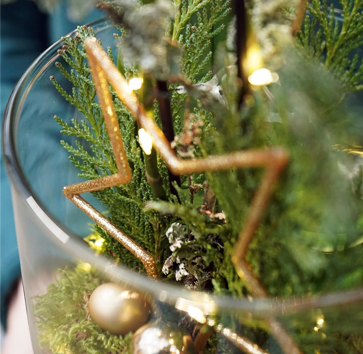 Pflanzen Mauk Gartencenter GmbH