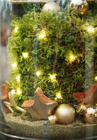 Pflanzen Mauk Gartencenter GmbH