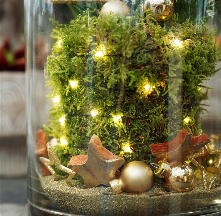 Pflanzen Mauk Gartencenter GmbH