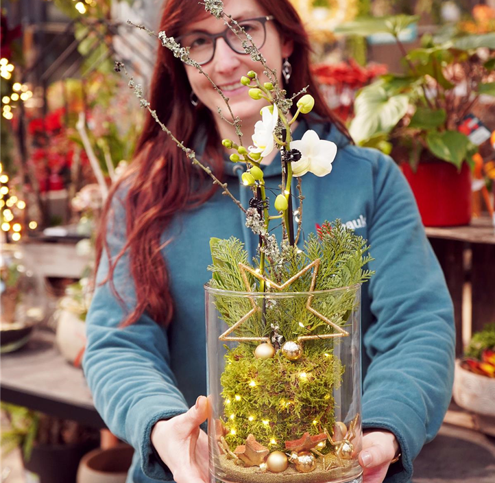 Pflanzen Mauk Gartencenter GmbH