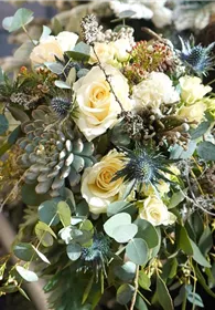 Pflanzen Mauk Gartencenter GmbH