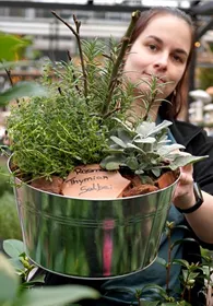 Pflanzen Mauk Gartencenter GmbH