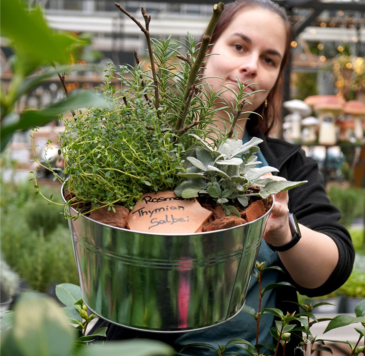 Pflanzen Mauk Gartencenter GmbH