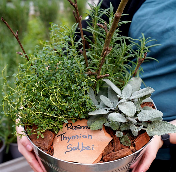 Pflanzen Mauk Gartencenter GmbH