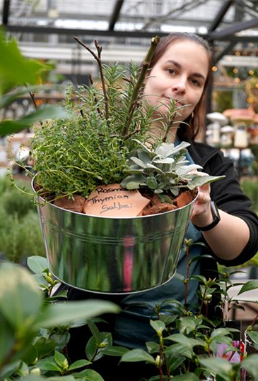 Workshop: Immunisierende Kräuter