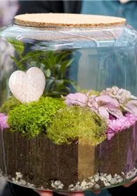 Pflanzen Mauk Gartencenter GmbH