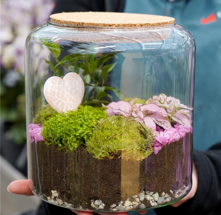 Pflanzen Mauk Gartencenter GmbH