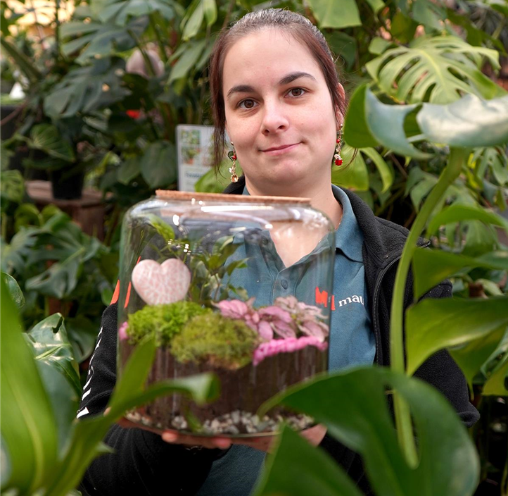 Pflanzen Mauk Gartencenter GmbH