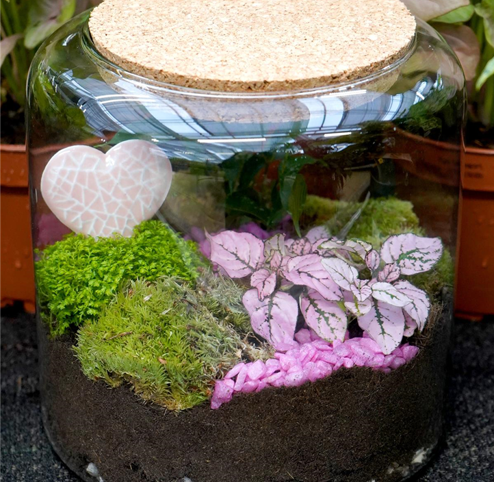 Pflanzen Mauk Gartencenter GmbH