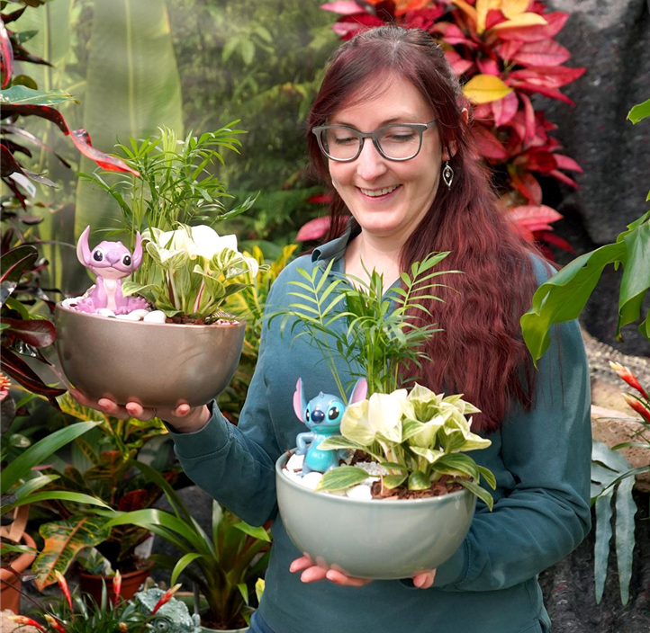 Pflanzen Mauk Gartencenter GmbH