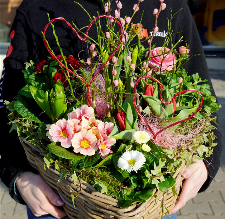 Pflanzen Mauk Gartencenter GmbH