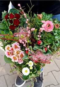 Pflanzen Mauk Gartencenter GmbH