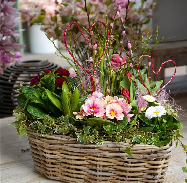 Pflanzen Mauk Gartencenter GmbH