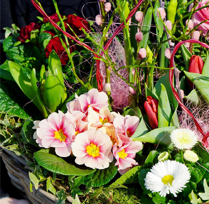 Pflanzen Mauk Gartencenter GmbH