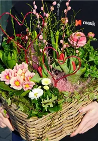 Pflanzen Mauk Gartencenter GmbH