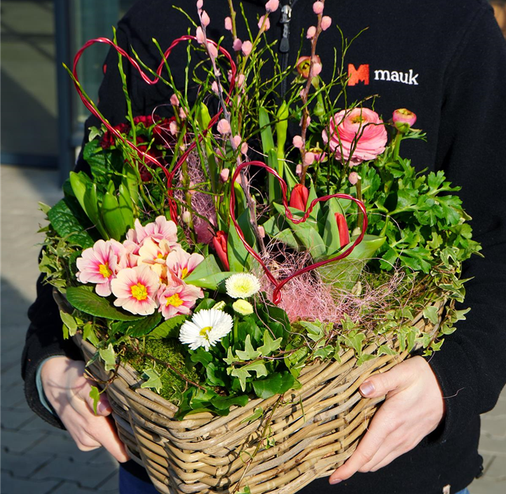 Pflanzen Mauk Gartencenter GmbH