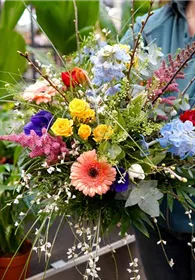 Pflanzen Mauk Gartencenter GmbH