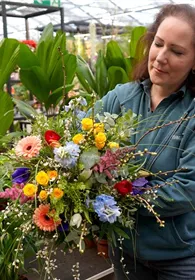 Pflanzen Mauk Gartencenter GmbH